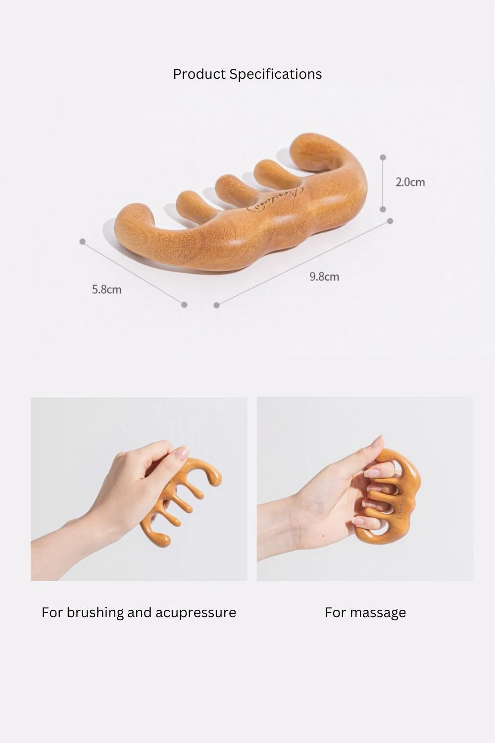 Benton - Scalp Brush Massager - 1pc - Image 4