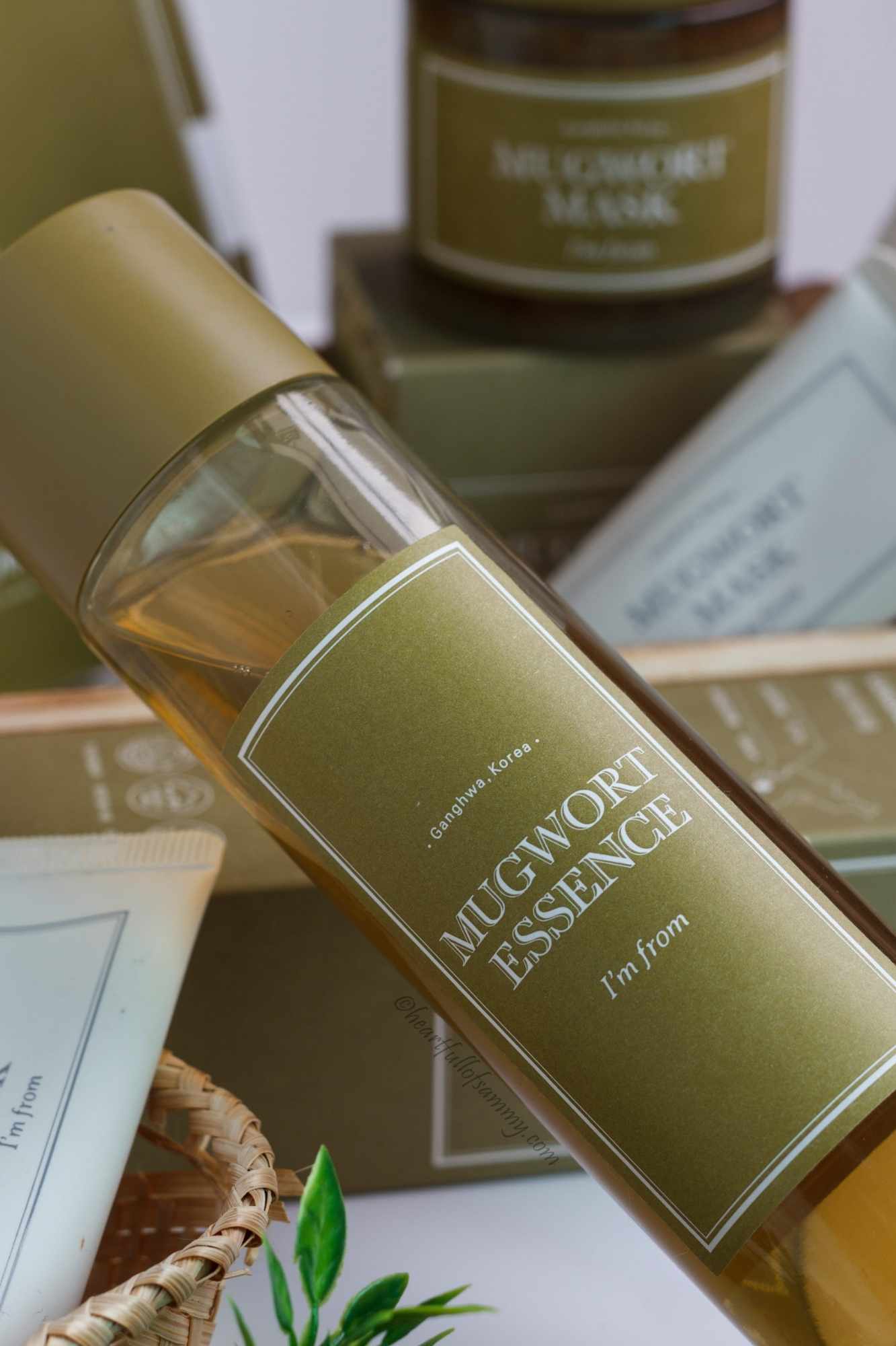 I'm From - Mugwort Essence - 30ml / 160ml - Image 5